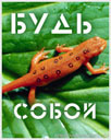 200768022