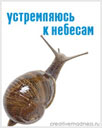 217198285