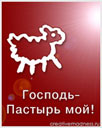 309263950