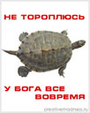335503380