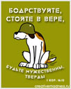 508656990