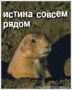 997106177