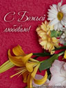 142301241