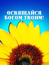 970037944