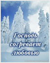 719057638