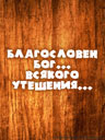 294535049