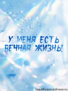 339290638