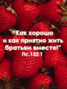 357884001