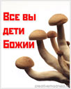 402074534