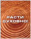 56717718