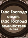 568262234