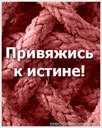 72074517