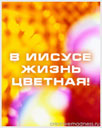798156749