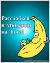 808680500
